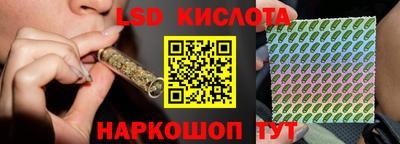 индика Гусь-Хрустальный