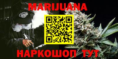 индика Гусь-Хрустальный