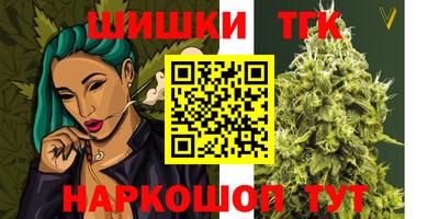 индика Гусь-Хрустальный