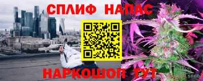 индика Гусь-Хрустальный