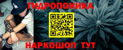 индика Гусь-Хрустальный