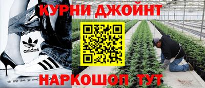 амфетамин Гусев