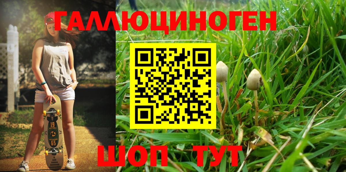 закладка  Вход с VPN  Новый Уренгой  Галлюциногенные грибы MAGIC MUSHROOMS 